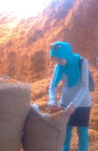 عينه 2